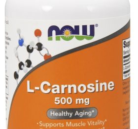 NOW Foods L-Carnosine, 500mg – 100 caps